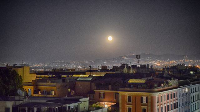 moon-roof-garden